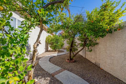 4402 E Dry Creek Rd, Phoenix, AZ 85044 photo 40