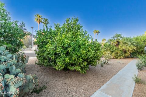 8533 N 16th Pl, Phoenix, AZ 85020 photo 9