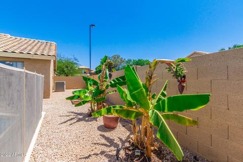 7333 E Monte Ave, Mesa, AZ 85209 photo 20