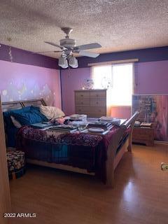 3335 N 64th Dr, Phoenix, AZ 85033 photo 1