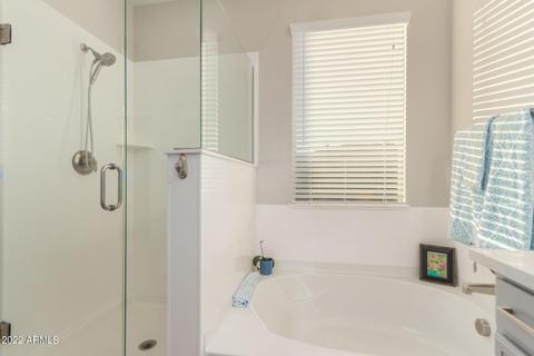 10026 E Gamma Ave, Mesa, AZ 85212 photo 25