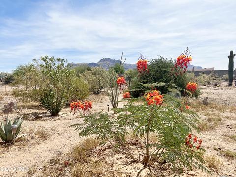 611 S Vista Rd, Apache Junction, AZ 85119 photo 49