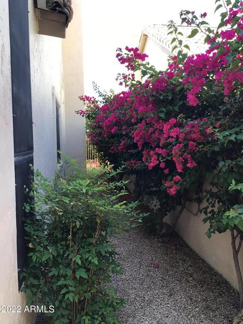 1856 E Redfield Rd, Tempe, AZ 85283 photo 22