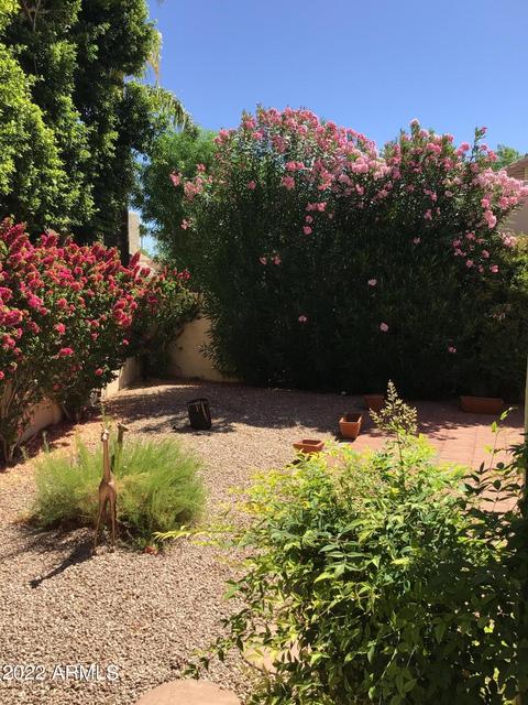 1856 E Redfield Rd, Tempe, AZ 85283 photo 21