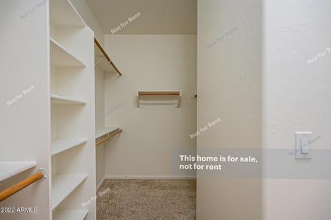 10715 E Lobo Ave, Mesa, AZ 85209 photo 22