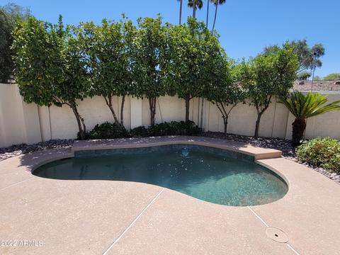 1257 E Palacio Dr, Phoenix, AZ 85014 photo 6