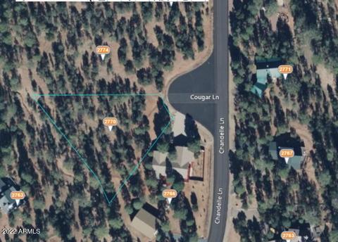 2770 Chandelle Ln #289, Overgaard, AZ 85933