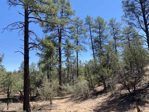416 E Highline Dr #6, Payson, AZ 85541 photo 10