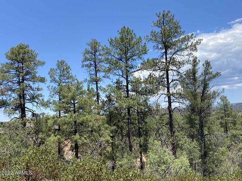 416 E Highline Dr #6, Payson, AZ 85541 photo 13