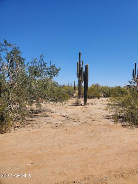 24604 E Bartlett Rd, Florence, AZ 85132 photo 14