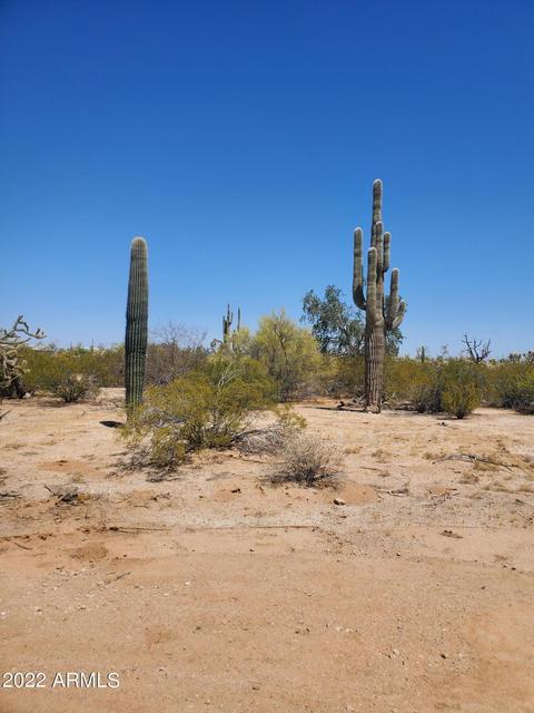 24604 E Bartlett Rd, Florence, AZ 85132 photo 16
