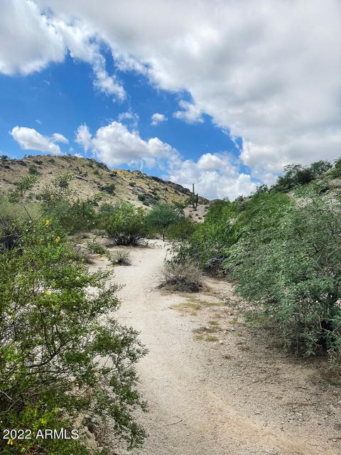 4833 E Hazel Dr #3, Phoenix, AZ 85044 photo 44