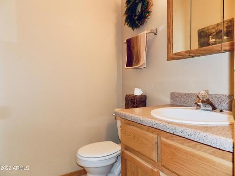2291 Constellation Ln, Overgaard, AZ 85933 photo 14