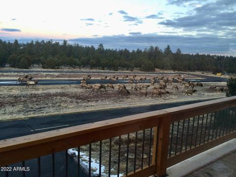 2291 Constellation Ln, Overgaard, AZ 85933 photo 36