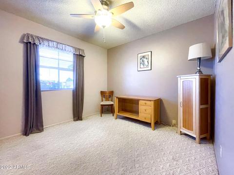 203 E Hoover Ave, Mesa, AZ 85210 photo 14