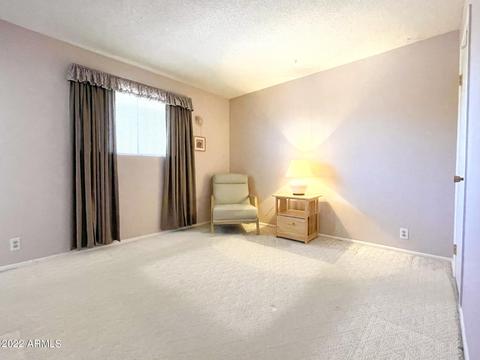 203 E Hoover Ave, Mesa, AZ 85210 photo 13