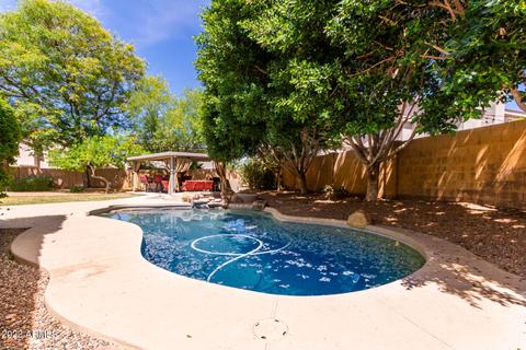 16630 S 29th St, Phoenix, AZ 85048 photo 30