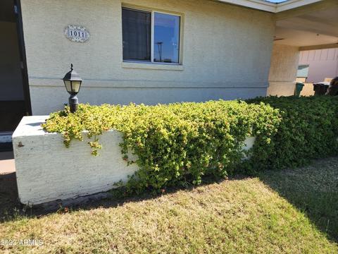 1011 E 9th Ave, Mesa, AZ 85204 photo 3