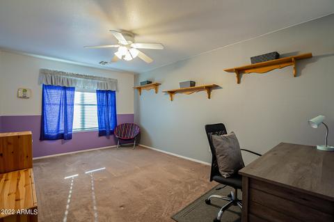 10646 E Balmoral Ave, Mesa, AZ 85208 photo 22