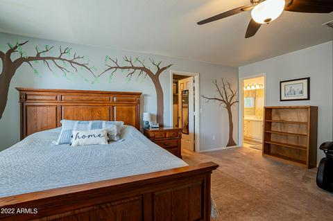 10646 E Balmoral Ave, Mesa, AZ 85208 photo 37