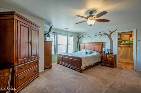 10646 E Balmoral Ave, Mesa, AZ 85208 photo 36