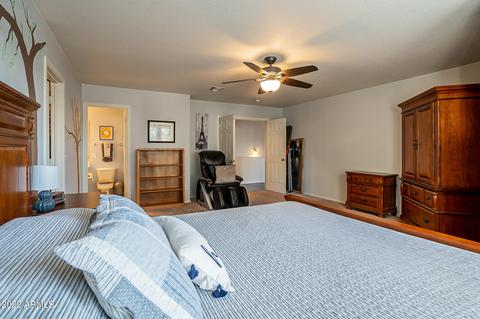 10646 E Balmoral Ave, Mesa, AZ 85208 photo 38
