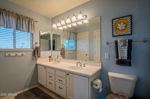 10646 E Balmoral Ave, Mesa, AZ 85208 photo 40