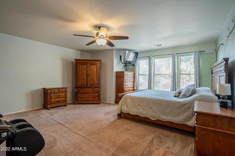 10646 E Balmoral Ave, Mesa, AZ 85208 photo 39