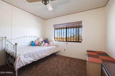 2844 E Oraibi Dr, Phoenix, AZ 85050 photo 32