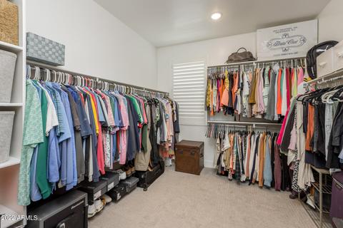 10137 E Tiburon Ave, Mesa, AZ 85212 photo 46