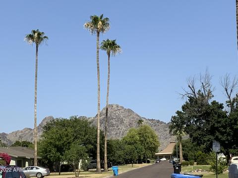 702 E State Ave, Phoenix, AZ 85020 photo 9