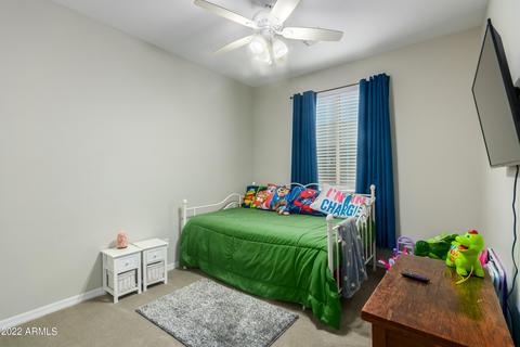 10001 E Cotton Rd, Florence, AZ 85132 photo 18