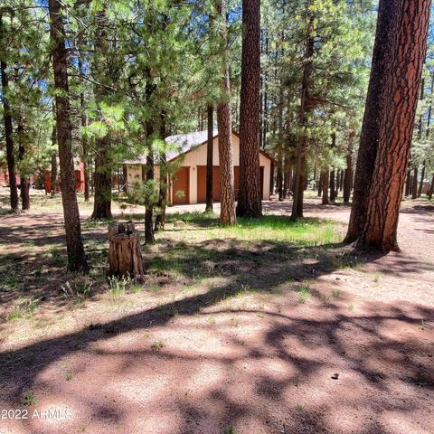 2190 Tall Trees Loop, Forest Lakes, AZ 85931 photo 24