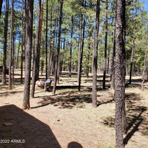 2190 Tall Trees Loop, Forest Lakes, AZ 85931 photo 17