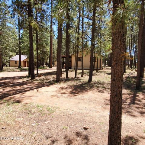 2190 Tall Trees Loop, Forest Lakes, AZ 85931 photo 25