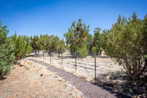 2040 Rendezvous Pine Dr, Overgaard, AZ 85933 photo 5