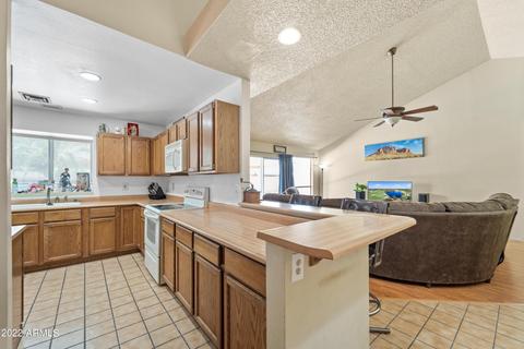 4907 E Princess Dr, Mesa, AZ 85205 photo 7