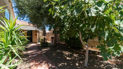 9523 E Idaho Ave, Mesa, AZ 85209 photo 20