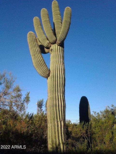 2910 E 4th Ave, Apache Junction, AZ 85119 photo 15