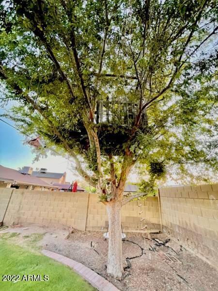 1014 E Ingram St, Mesa, AZ 85203 photo 20