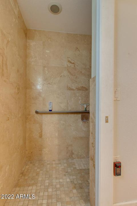 1736 E Downing St, Mesa, AZ 85203 photo 38