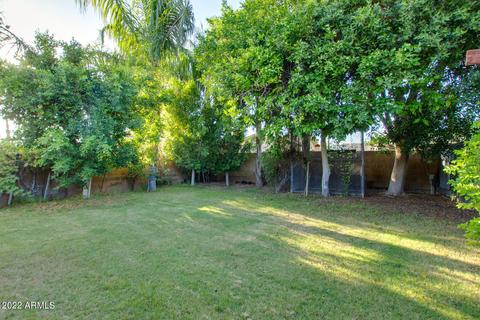 1736 E Downing St, Mesa, AZ 85203 photo 40
