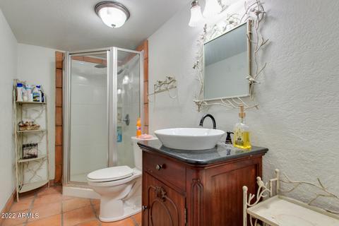 1736 E Downing St, Mesa, AZ 85203 photo 30