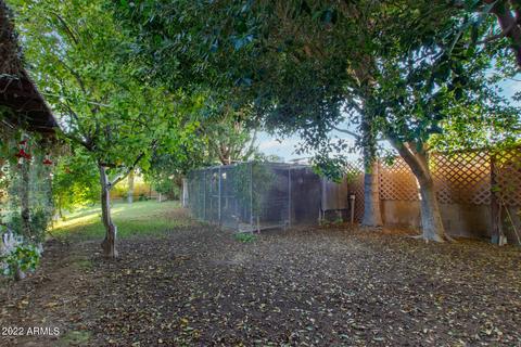 1736 E Downing St, Mesa, AZ 85203 photo 50