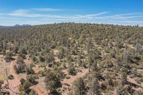 1009 W Saddle Ln, Payson, AZ 85541 photo 14