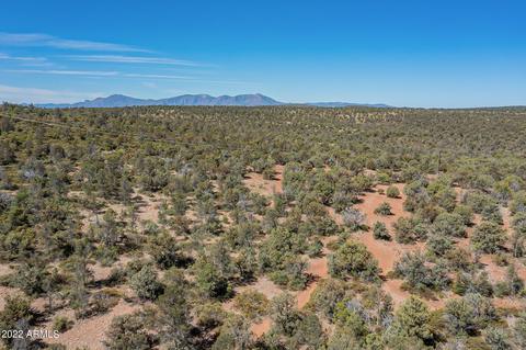 1009 W Saddle Ln, Payson, AZ 85541 photo 16