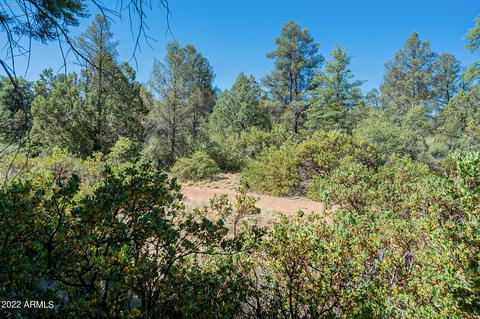 1009 W Saddle Ln, Payson, AZ 85541 photo 24