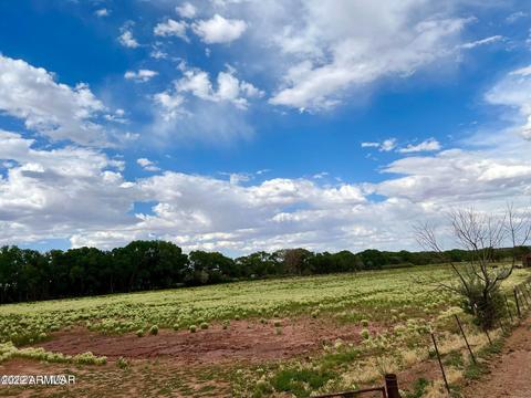 662 E 12 St #-, Snowflake, AZ 85937 photo 3