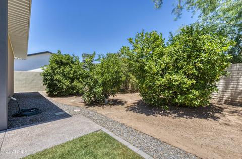 4502 E Osborn Rd, Phoenix, AZ 85018 photo 45
