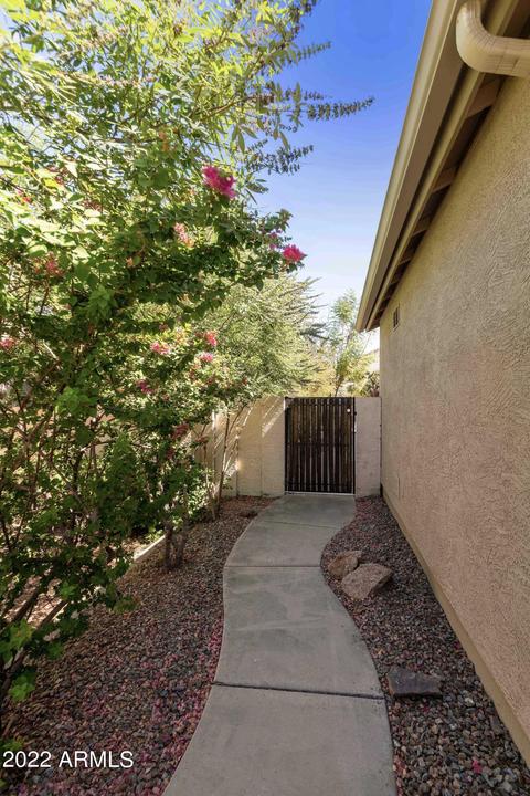 3530 E Feather Ave, Gilbert, AZ 85234 photo 3